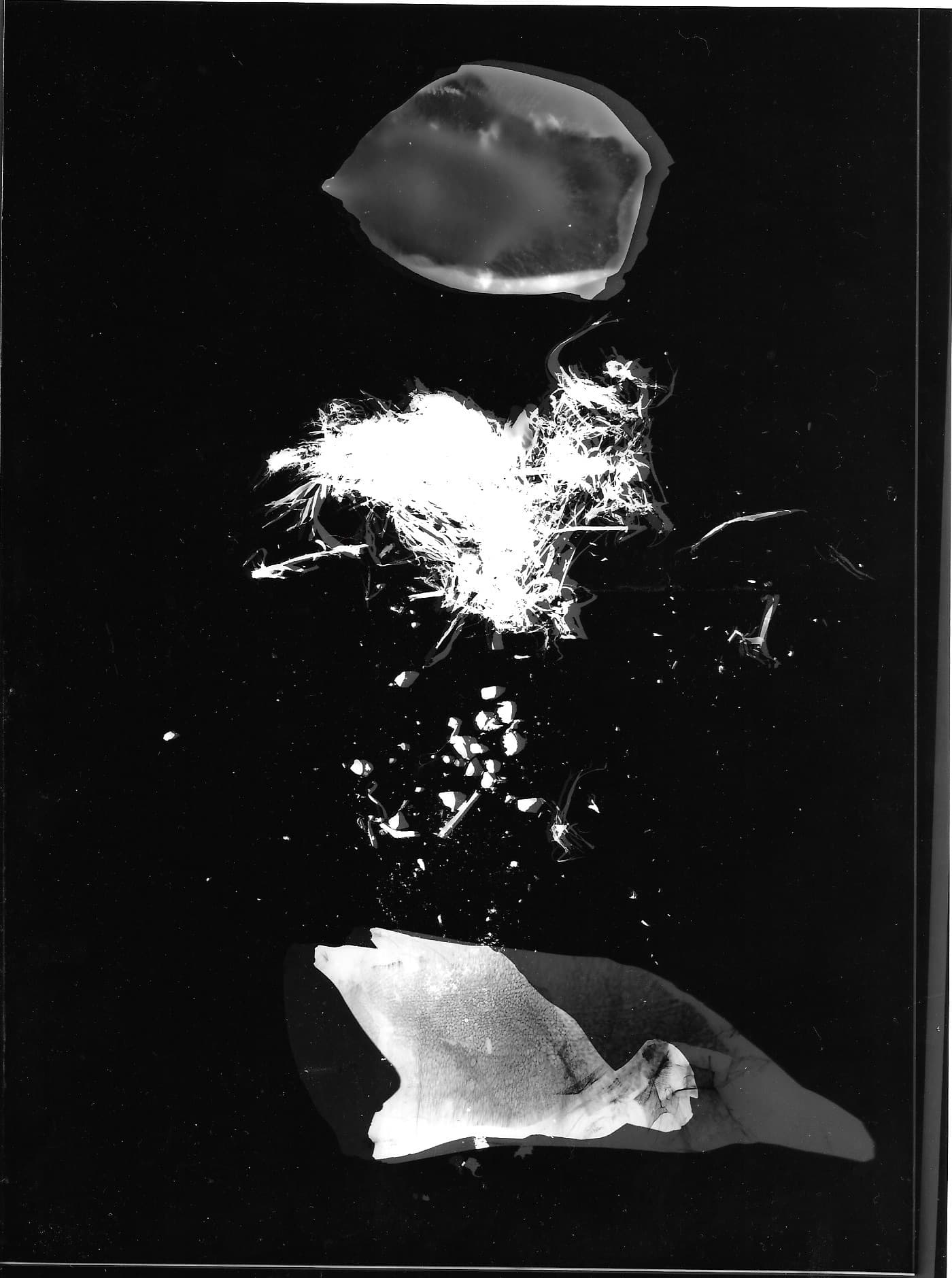 Rayograma producido durante un taller de experimentación
