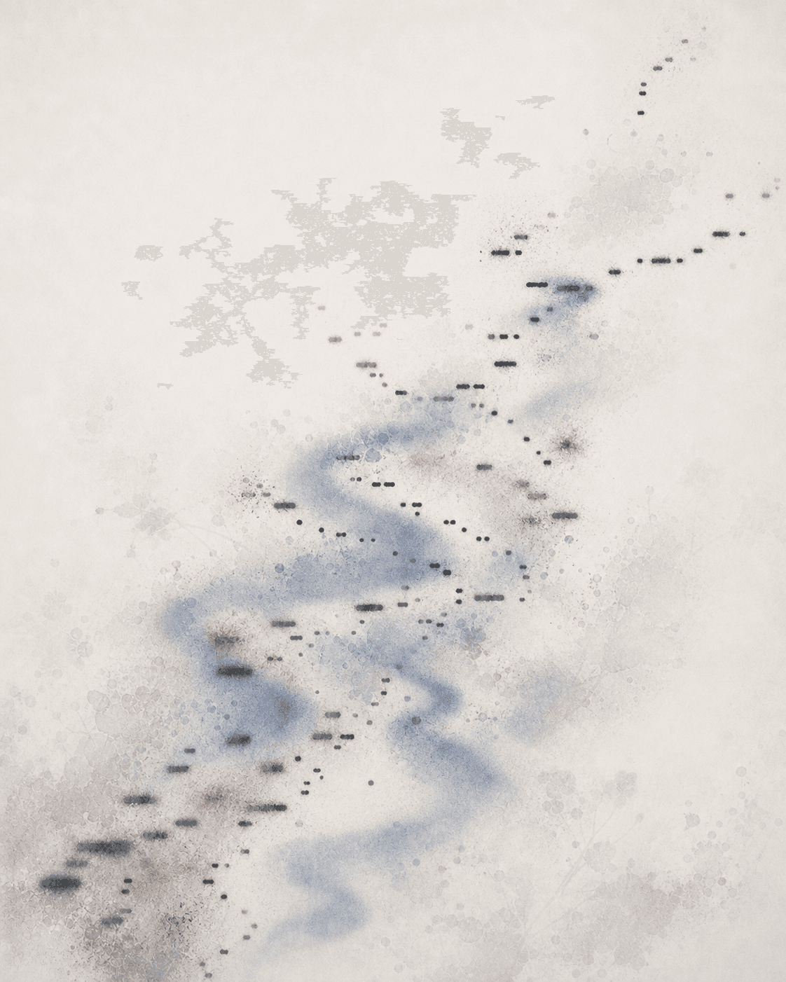Identidad visual del Laboratorio de canciones con Laicha