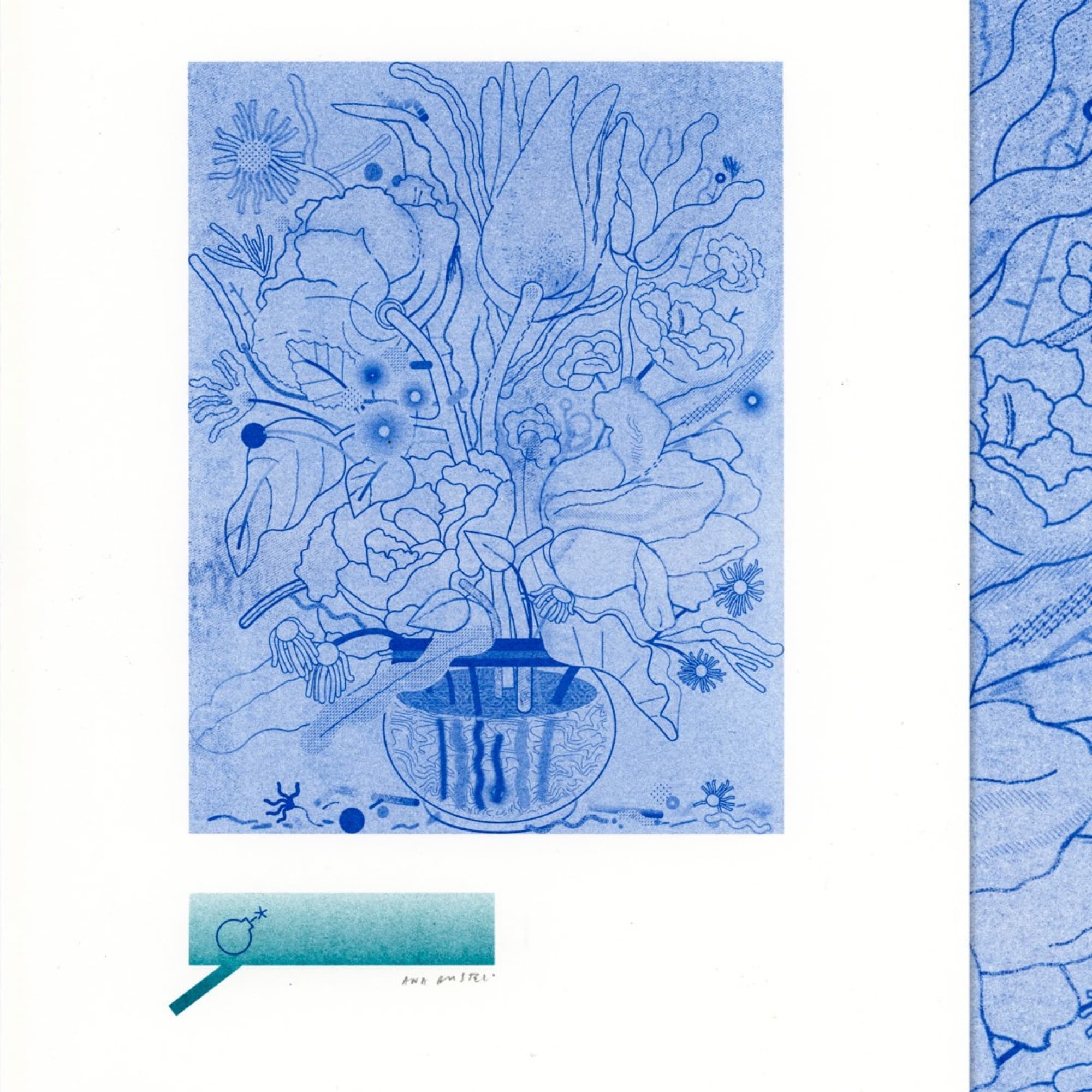Obra editorial e ilustración de Ana Bustelo